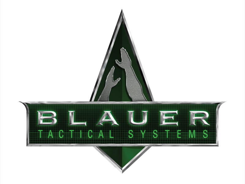 BTSLogo